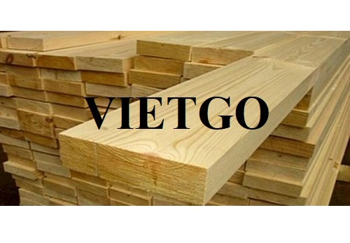 Đối tác người Oman dự kiến nhập khẩu gỗ thông xẻ cho dự án sắp tới