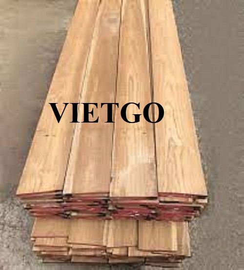 Thương vụ xuất khẩu gỗ teak xẻ sang thị trường Bỉ