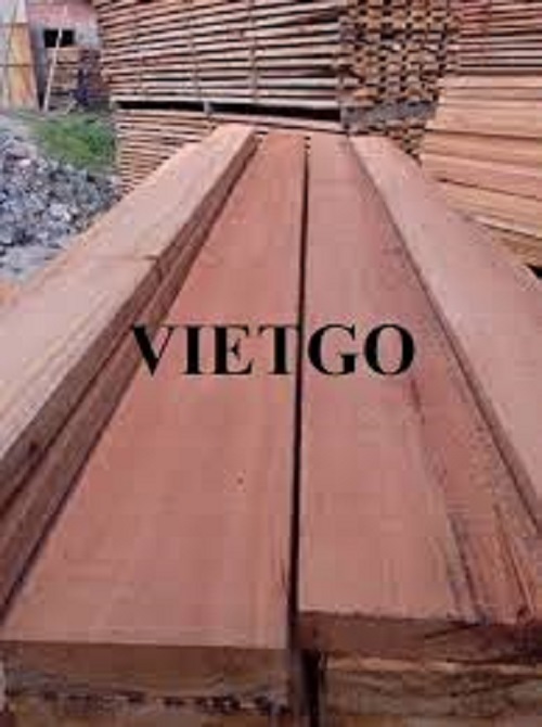 Thương vụ xuất khẩu gỗ bạch đàn xẻ sang thị trường Bỉ