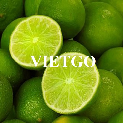 Đối tác Oman cần tìm nhà cung cấp mặt hàng chanh xanh