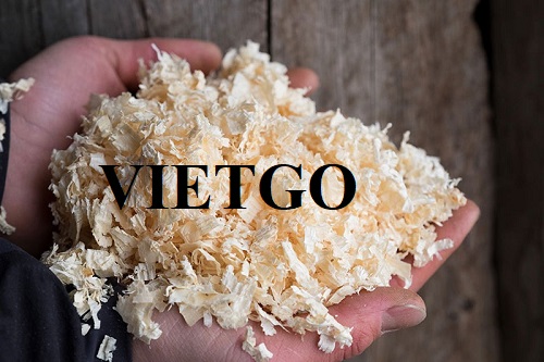 Thương vụ xuất khẩu 2 container 40ft dăm bào sang thị trường Qatar