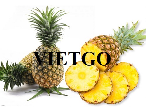 Cơ hội hợp tác xuất khẩu dứa tươi sang thị trường Nhật Bản
