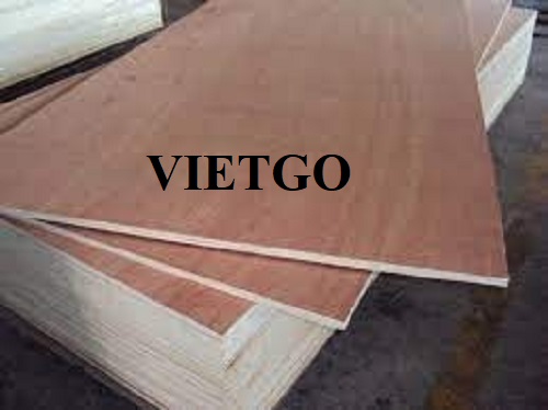 Thương vụ xuất khẩu gỗ dán sang thị trường Syria