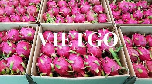 Cơ hội xuất khẩu số lượng lớn sản phẩm thanh long sang thị trường Nam Phi