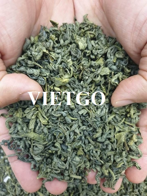 Thương vụ hợp tác xuất khẩu chè xanh sang thị trường Pakistan