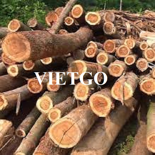 Thương vụ xuất khẩu gỗ keo tròn sang thị trường Trung Quốc