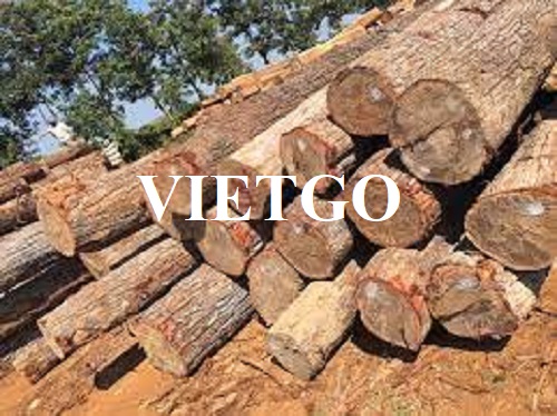 Thương vụ xuất khẩu gỗ dầu tròn sang thị trường Trung Quốc