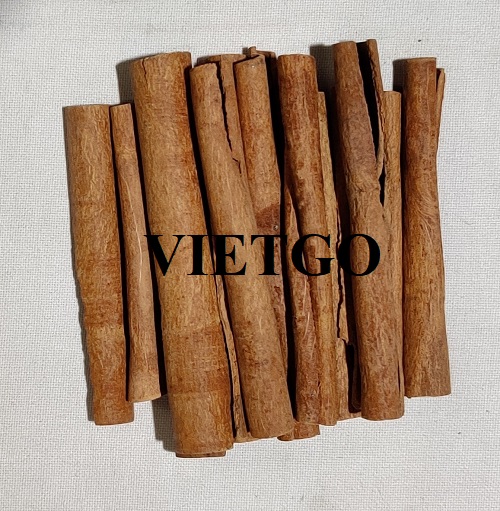 Thương vụ hợp tác với doanh nghiệp Ấn Độ cho đơn hàng xuất khẩu quế ống sáo