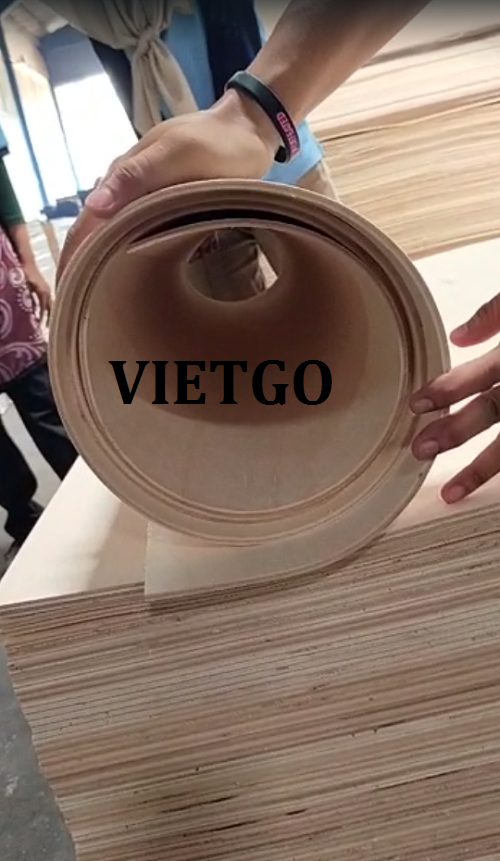Vị khách hàng người Ấn Độ cần tìm nhà cung cấp sản phẩm ván ép uốn cong