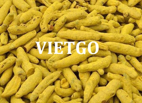 Cơ hội hợp tác xuất khẩu sản phẩm nghệ khô đến thị trường Thổ Nhĩ Kỳ