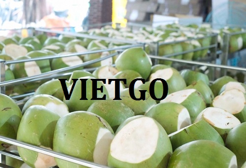 Cơ hội giao thương xuất khẩu dừa tươi sang thị trường Croatia, Hy Lạp và Ý