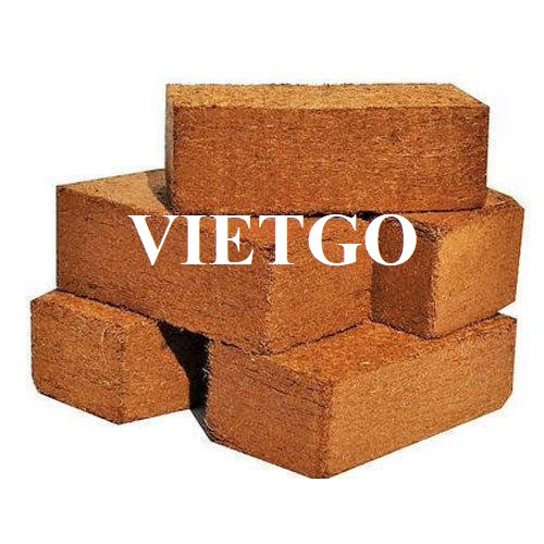 Thương vụ xuất khẩu mụn xơ dừa sang thị trường Trung Quốc