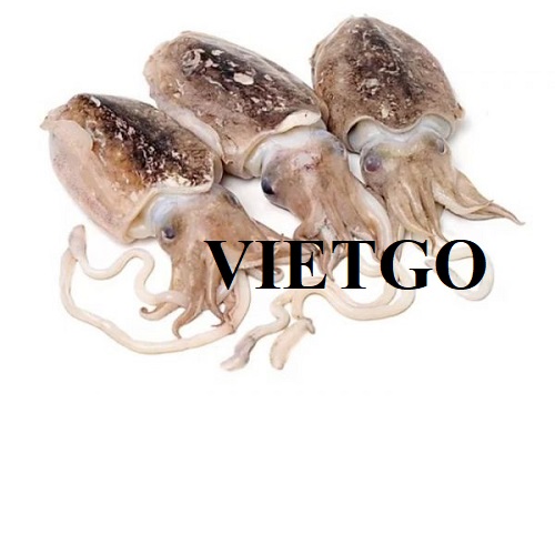 Cơ hội xuất khẩu mực hàng tháng sang thị trường Italy