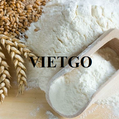 Cơ hội hợp tác xuất khẩu bột mì hàng năm đến thị trường Đức