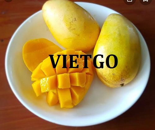 Thương vụ xuất khẩu xoài tươi sang thị trường Anh