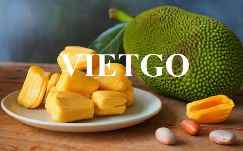 Thương vụ xuất khẩu mít sang thị trường Anh