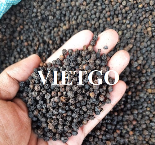 Cơ hội hợp tác với doanh nghiệp Ấn Độ cho đơn hàng xuất khẩu hạt tiêu đen