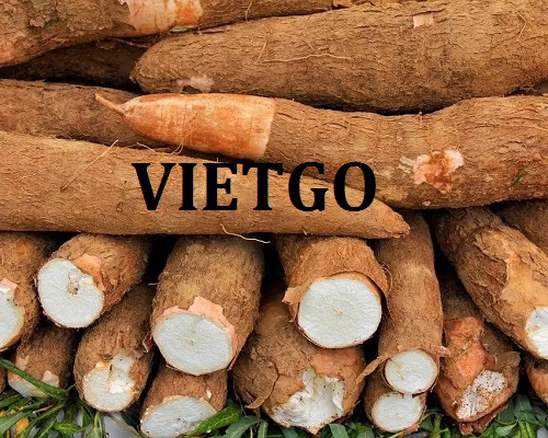 Cơ hội hợp tác với một doanh nghiệp tại Canada cho đơn hàng xuất khẩu củ sắn tươi