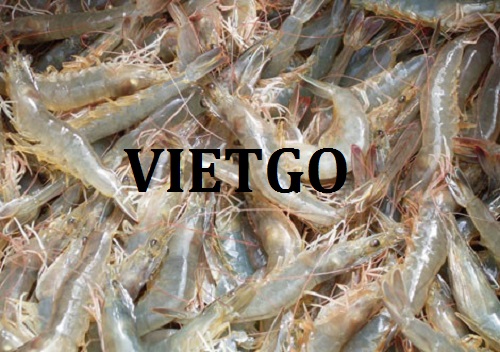 Cơ hội hợp tác với một doanh nghiệp tại Ba Lan cho đơn hàng xuất khẩu tôm