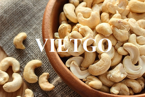 Cơ hội hợp tác với doanh nghiệp tại Hà Lan cho đơn hàng hạt điều