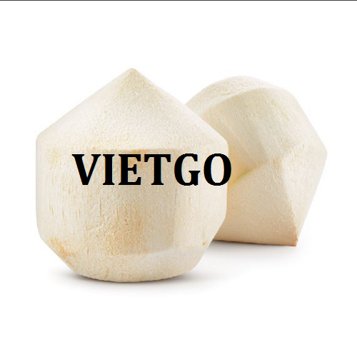 Cơ hội xuất khẩu dừa tươi sang thị trường Hàn Quốc