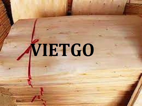 Thương vụ xuất khẩu ván bóc sang thị trường Đài Loan