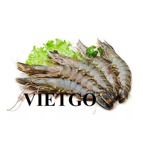 Thương vụ xuất khẩu hàng tháng tôm sang thị trường Ý