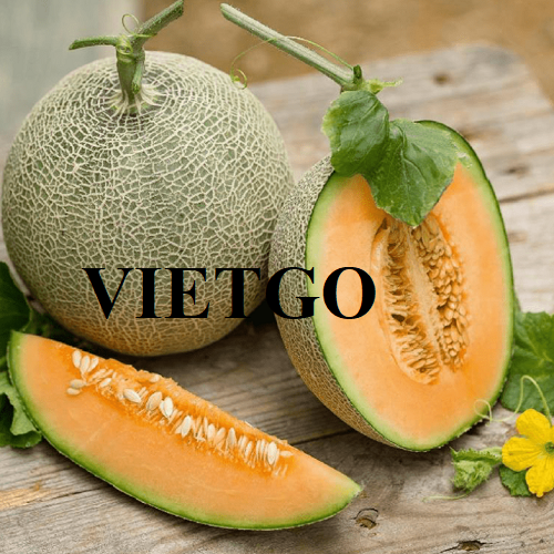 Cơ hội hợp tác với doanh nghiệp tại Nepal cho đơn hàng xuất khẩu dưa lưới
