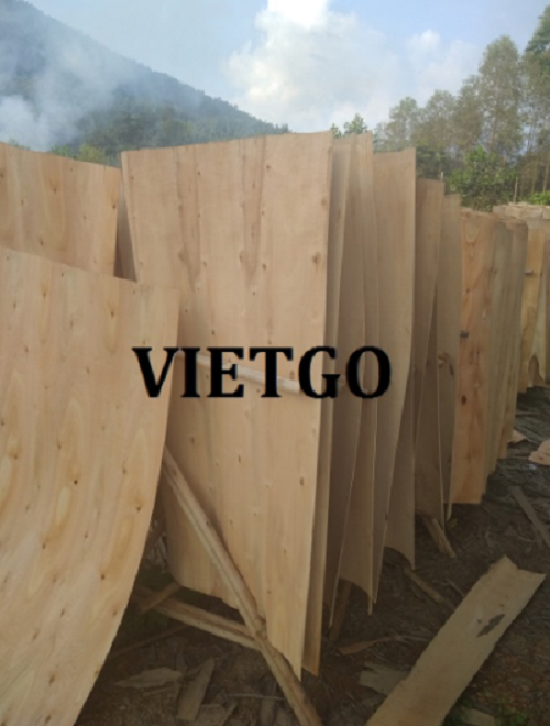 Cơ hội hợp tác với doanh nghiệp Ấn Độ cho đơn hàng xuất khẩu ván bóc bạch đàn