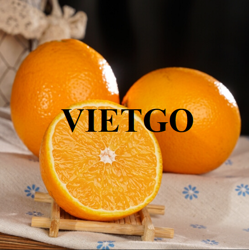 Cơ hội xuất khẩu cam tươi với số lượng lớn sang thị trường Oman