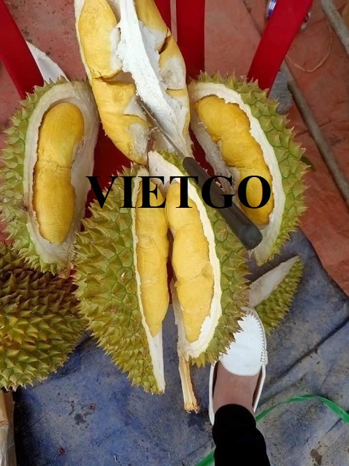 Cơ hội hợp tác đến từ vị khách hàng người Ai Cập cho đơn hàng xuất khẩu sầu riêng