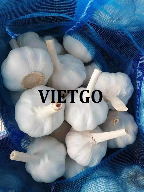 Cơ hội xuất khẩu sản phẩm tỏi trắng đến thị trường Bangladesh
