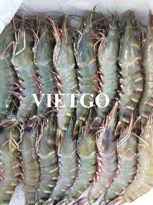 Vị khách hàng đến từ Brazil cần tìm nhà cung cấp sản phẩm tôm