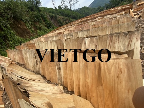 Thương vụ xuất khẩu ván bóc sang thị trường Ấn Độ