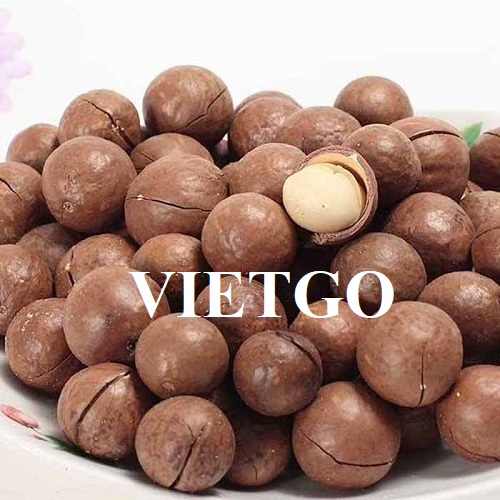 Cơ hội cung cấp mặt hàng quả mắc ca sang thị trường Ba Lan