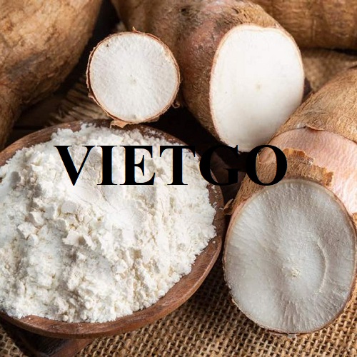 Cơ hội hợp tác với doanh nghiệp tại Trung Quốc để xuất khẩu sản phẩm tinh bột sắn