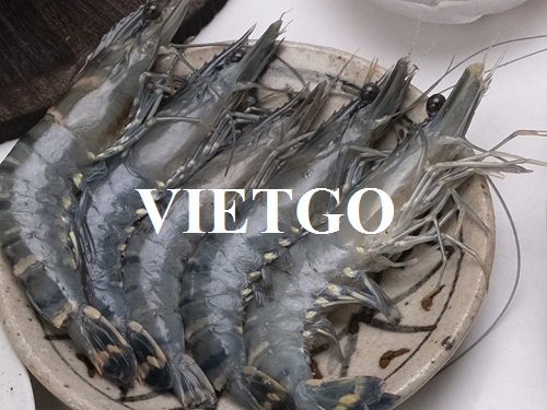 Vị khách hàng đến từ Cộng hòa Séc cần tìm nhà cung cấp sản phẩm tôm