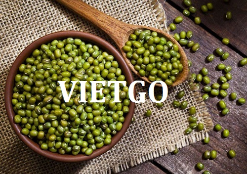 Cơ hội giao thương xuất khẩu hạt đỗ xanh sang thị trường Jordan