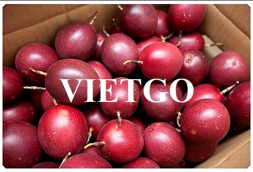Cơ hội trở thành nhà cung cấp cho đơn hàng xuất khẩu chanh leo sang thị trường Ai Cập