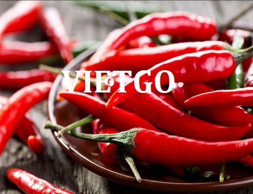 Cơ hội hợp tác với thương nhân Đài Loan cho đơn hàng xuất khẩu ớt tươi