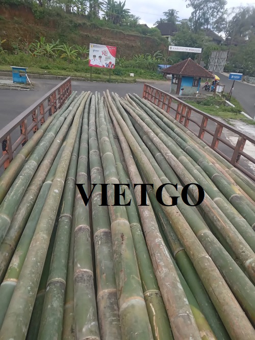Thương vụ xuất khẩu gậy tre hàng tháng sang thị trường Indonesia
