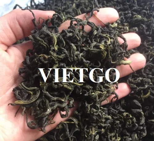 Cơ hội xuất khẩu sản phẩm chè xanh sang thị trường Afghanistan
