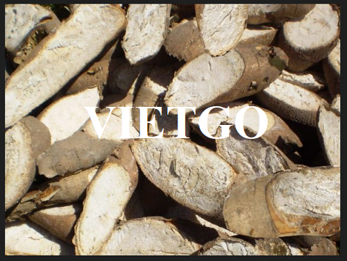 Cơ hội hợp tác với doanh nghiệp tại Trung Quốc cho đơn hàng xuất khẩu sắn lát với số lượng lớn hàng tháng