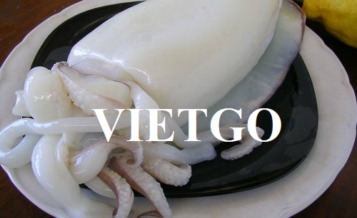 Thương vụ hợp tác xuất khẩu mực nang sang thị trường Hồng Kông