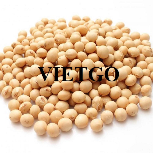 Cơ hội giao thương xuất khẩu hạt đậu nành đến thị trường Trung Quốc