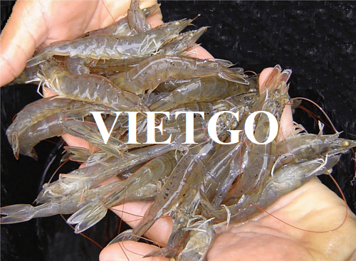 Thương vụ hợp tác xuất khẩu tôm sang thị trường Ba Lan