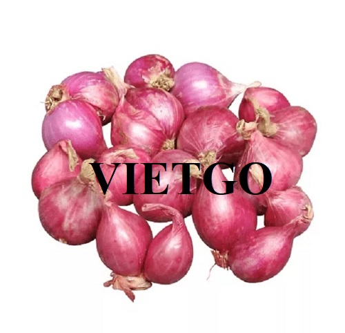 Cơ hội hợp tác với vị thương nhân người Trung Quốc cho đơn hàng xuất khẩu hành tím