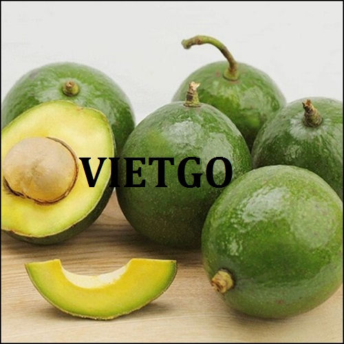 Đối tác đến từ Venezuela cần tìm nhà cung cấp cho mặt hàng bơ tươi