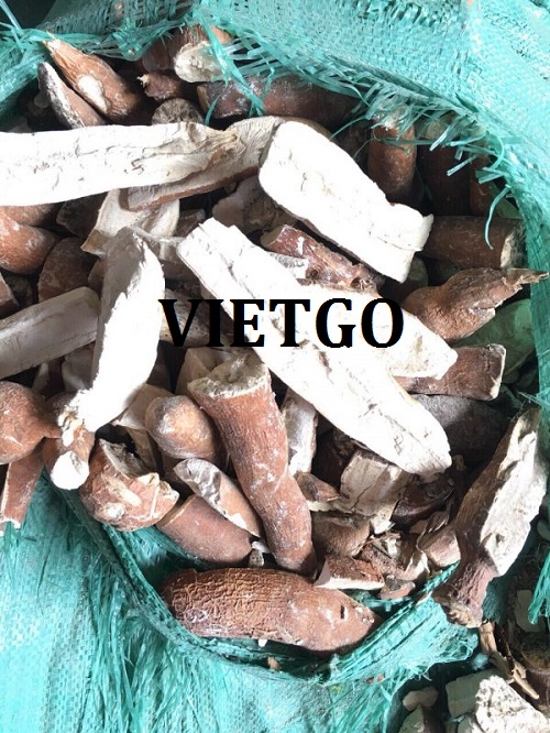 Cơ hội hợp tác với doanh nghiệp tại Hàn Quốc cho đơn hàng xuất khẩu số lượng lớn mặt hàng sắn lát đến thị trường Trung Quốc