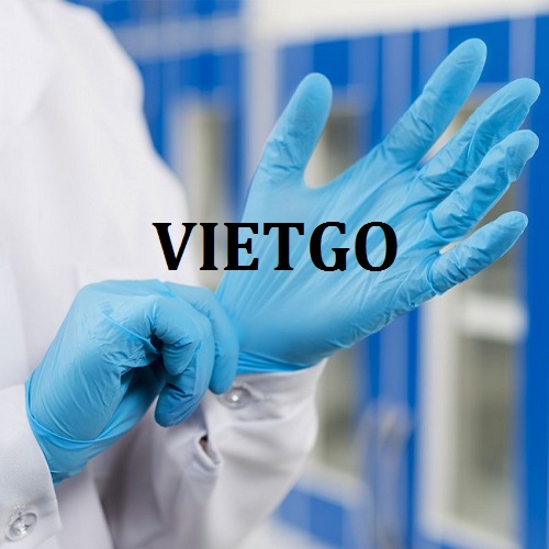 Đối tác đến từ Iraq đang tìm kiếm nhà cung cấp sản phẩm găng tay y tế